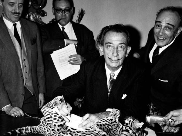 Nyoppdaget brev: Salvador Dalí drømte om hvitt hegemoni