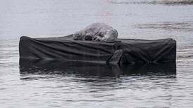 Skulpturen av hvalrossen Freya bør gi oss kollektiv dårlig samvittighet