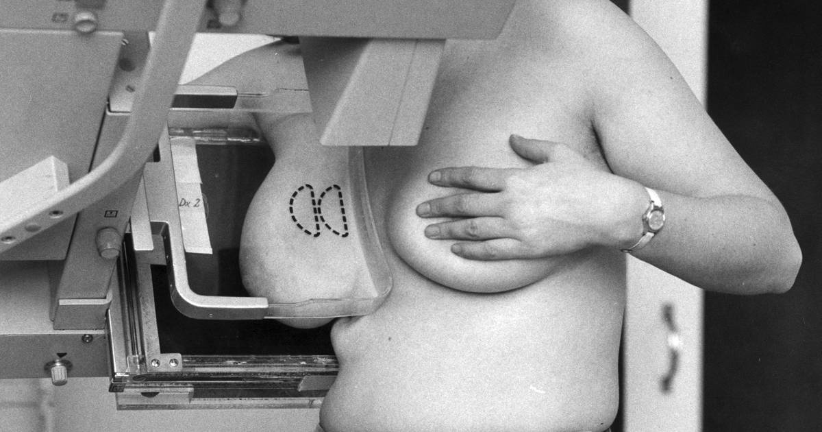 Molta ricerca è in corso sul cancro al seno, ma non sulle malattie ginecologiche prevalenti.  Abbiamo bisogno di maggiori conoscenze sulla salute delle donne.  – Morgenbladet