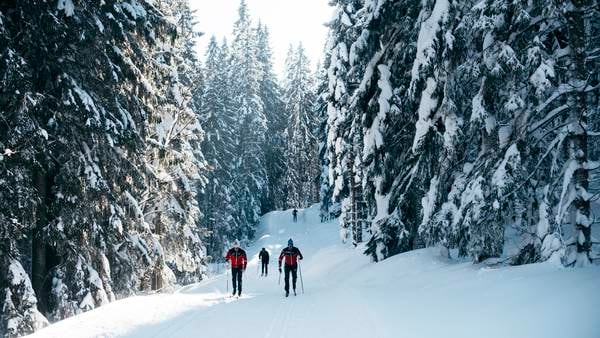 Hvorfor er nordmenn så fanatisk opptatt av å gå på ski?