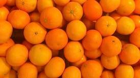 Realistens guide til vitamin C